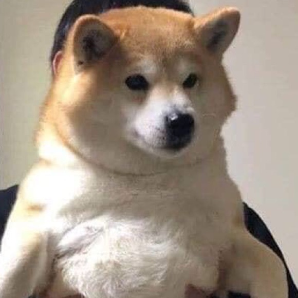 Meet your Posher, Nathan - Picture 1 of 1